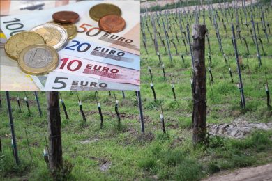 Bando per la “ Misura Promozione sui mercati dei Paesi terzi” dell’Ocm vino